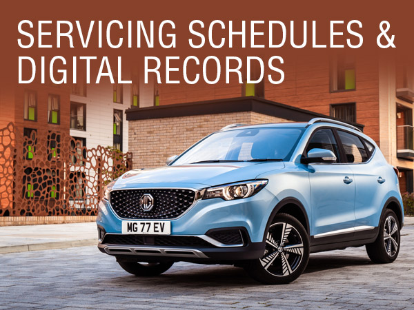 SERVICING SCHEDULES & DIGITAL RECORDS MG
